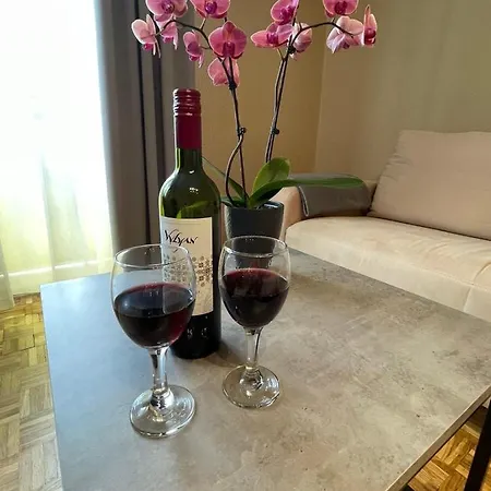 Alexandra Apartman Apartment
